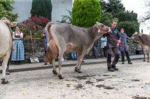 k-006Schneuter jngere Dally VIAMALA-ET_03